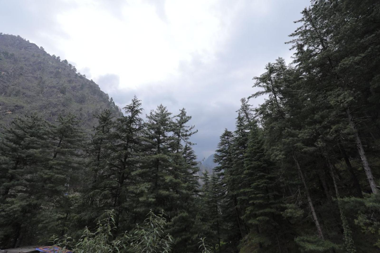 Shangri-La Rooms & Restaurant Kasol Eksteriør billede